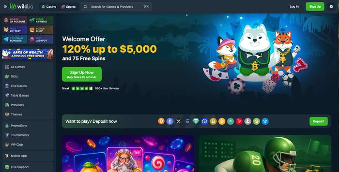 wild.io casino review and crypto deposit bonus